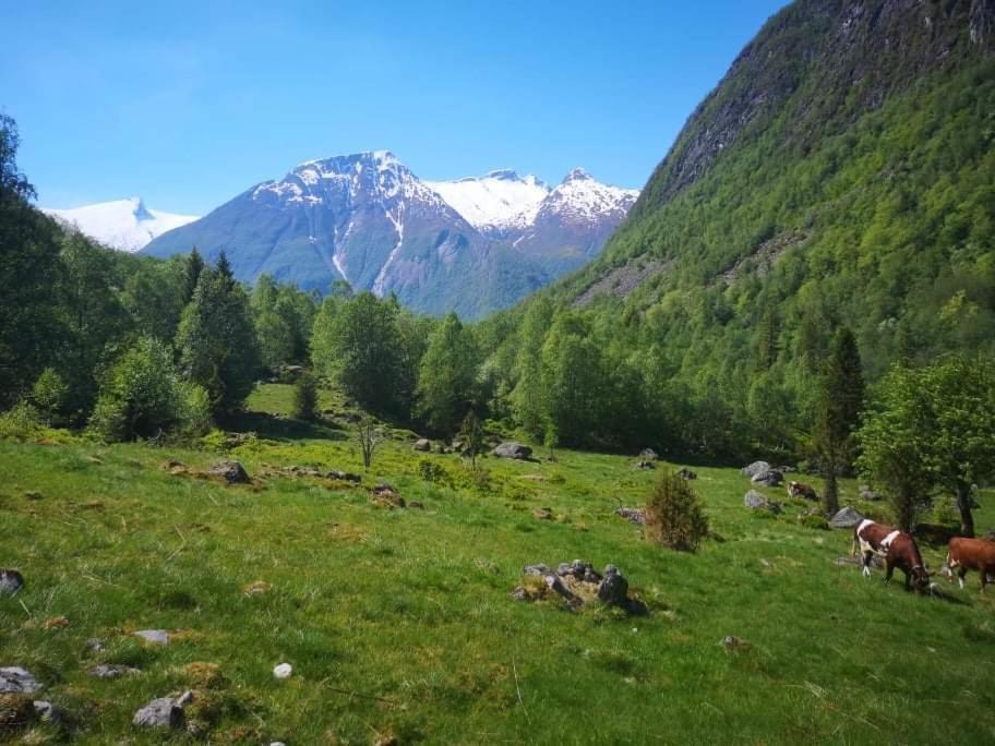 Sogndal Ski- And Mountain Cabin Dış mekan fotoğraf